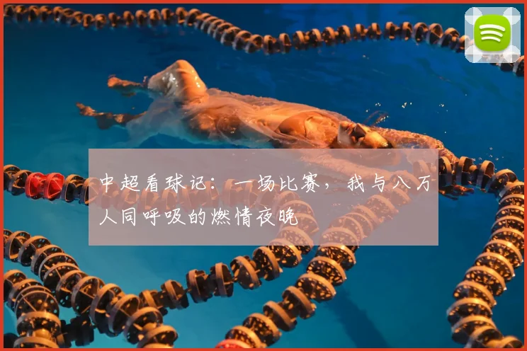 中超看球记:一场比赛,我与八万人同呼吸的燃情夜晚